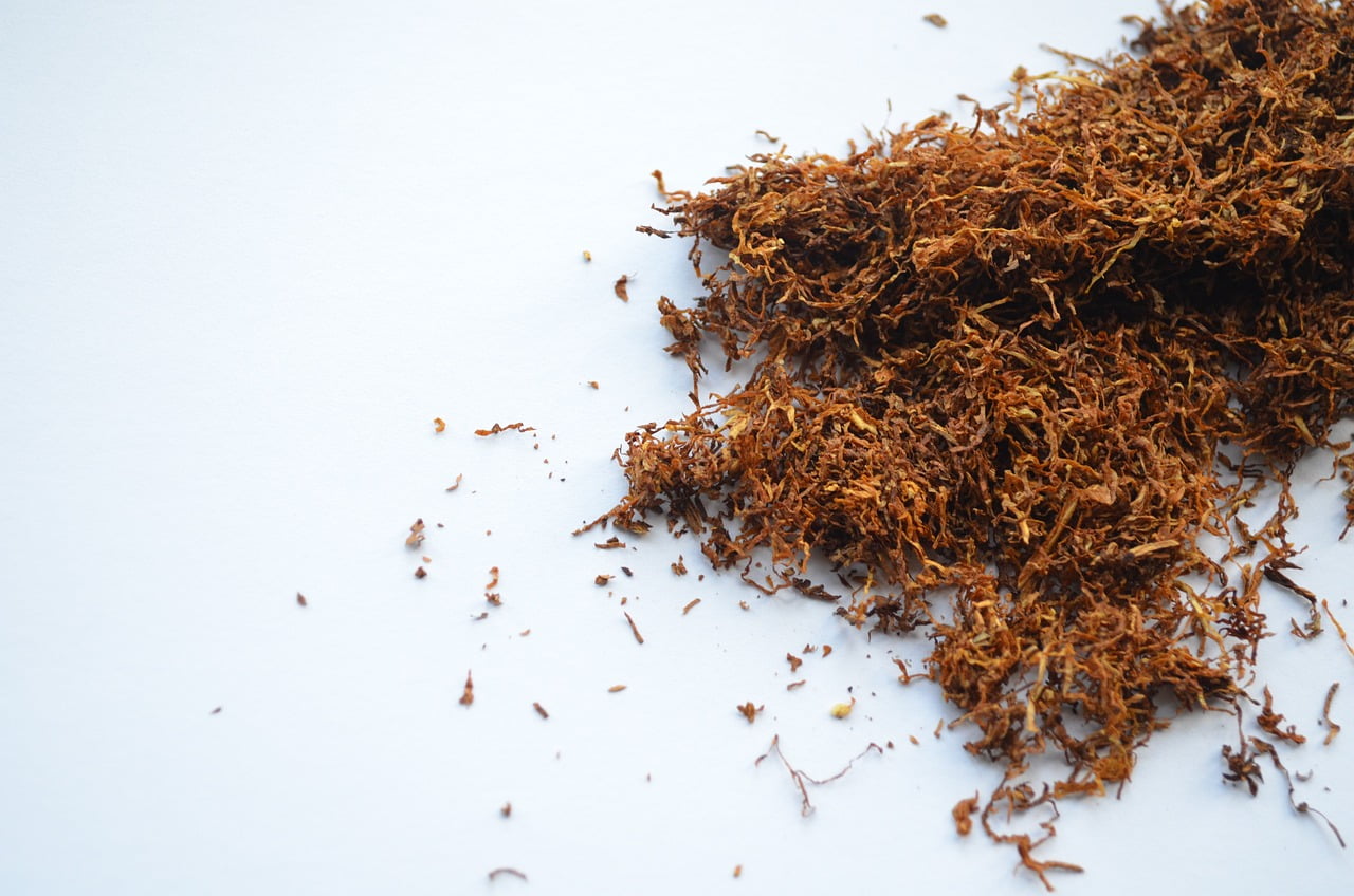 Snus selber machen mit Teebeutel und Tabak