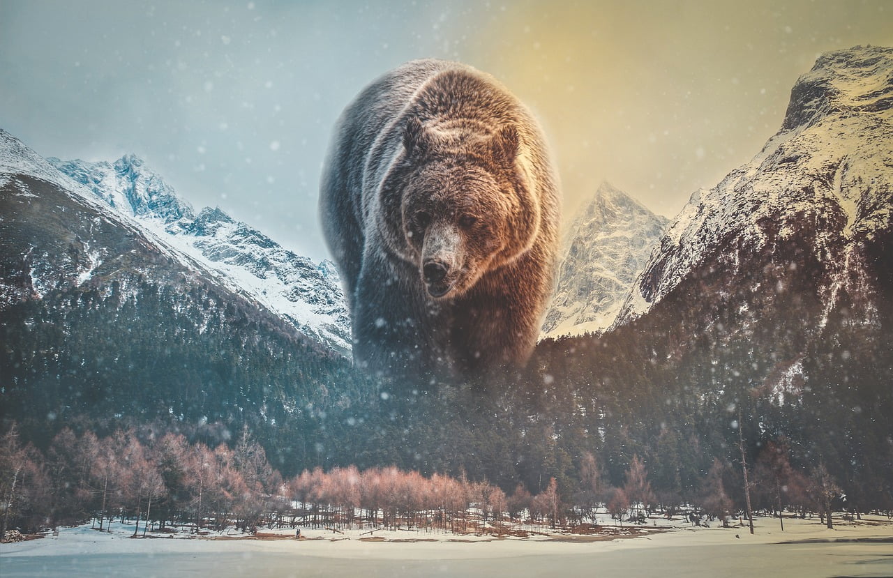 Siberia Snus Nikotingehalt im Vergleich – Wie viel Nikotin pro Beutel brauchst du?!